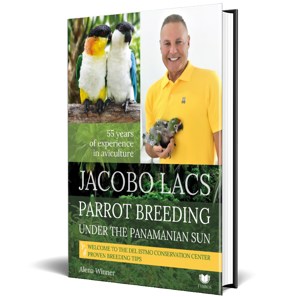 JACOBO LACS: Parrot breeding under the Panamanian sun